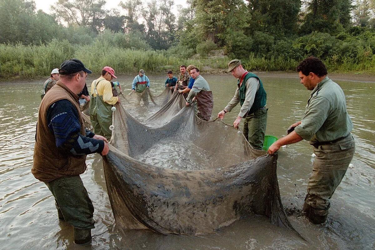 تأبين نهر ميت في أوروبا!