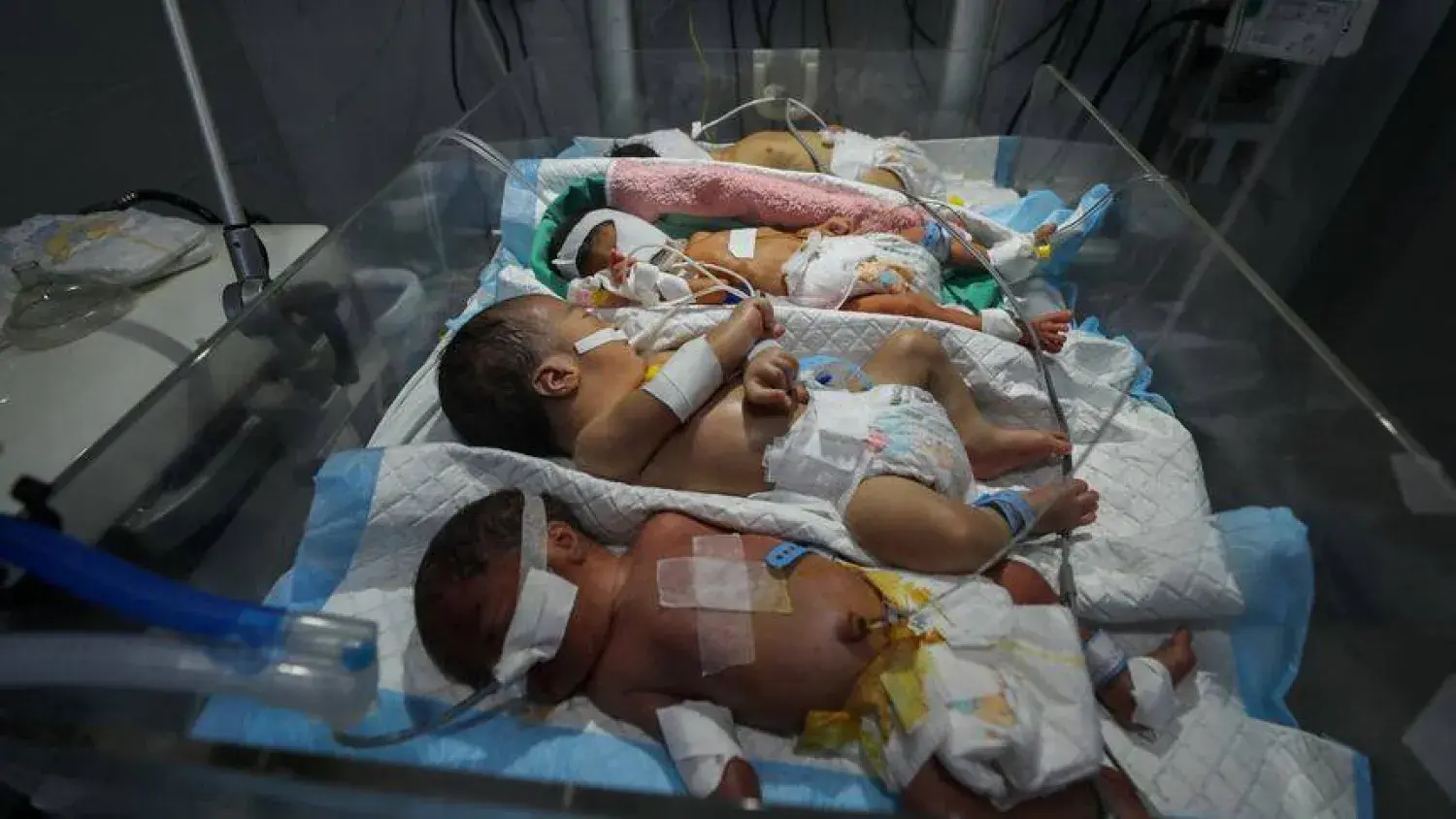 تسجيل 2890 مولوداً جديدًا في قطاع غزة خلال شهر مارس المنصرم