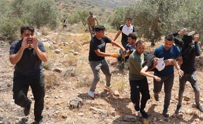 إصابة مواطن إثر اعتداء مستوطنين عليه جنوب نابلس