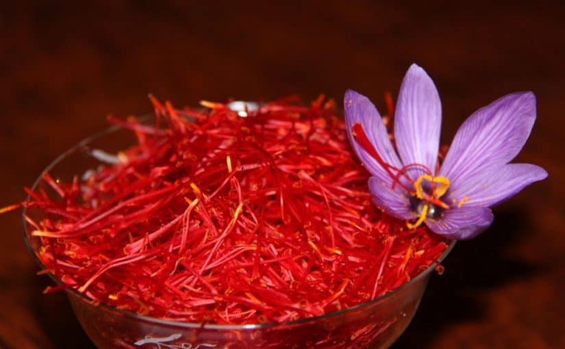 ما لا تعرفه عن "الزعفران" التوابل الأغلى في العالم