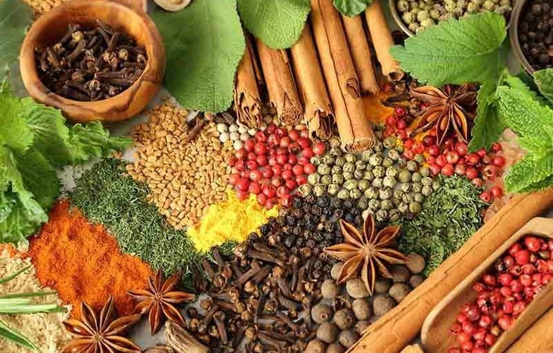 بالفيديو: اسماء وصور "الأعشاب الطبية" مع فوائدها الطبية والعلاجية