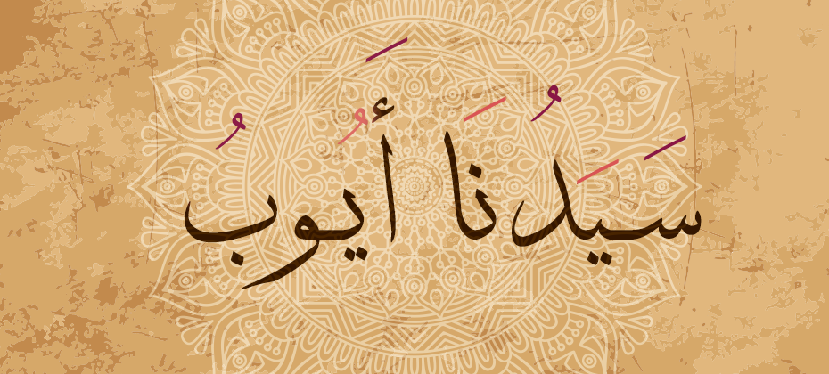 شاهدوا: عدد سنوات صبر سيدنا "أيوب" على مرضه.. فكيف كانت النهاية