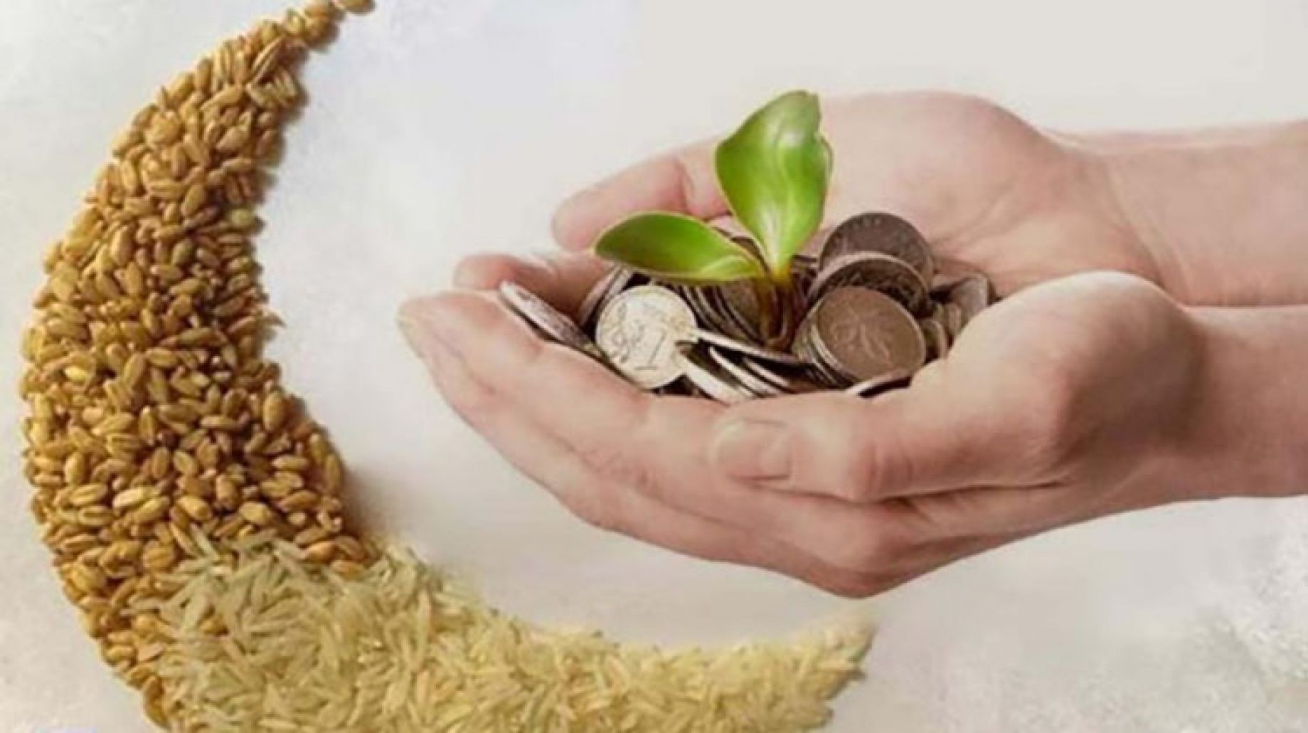 هل يجوز اخراج زكاة الفطر نقدا للاخت ؟