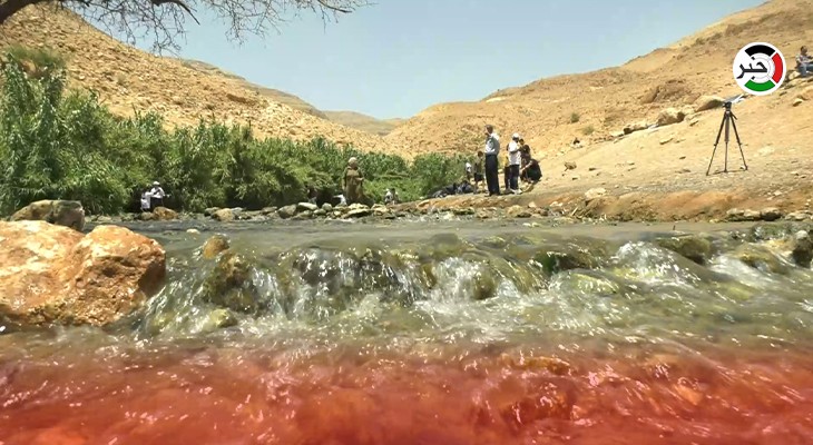 بالفيديو: "نبع العوجا" في أريحا.. ثروة فلسطينية يغتصبها الاحتلال