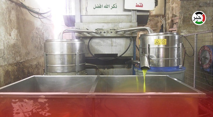 بالفيديو: عدسة وكالة "خبر" في إحدى معاصر زيت الزيتون الحديثة برام الله 