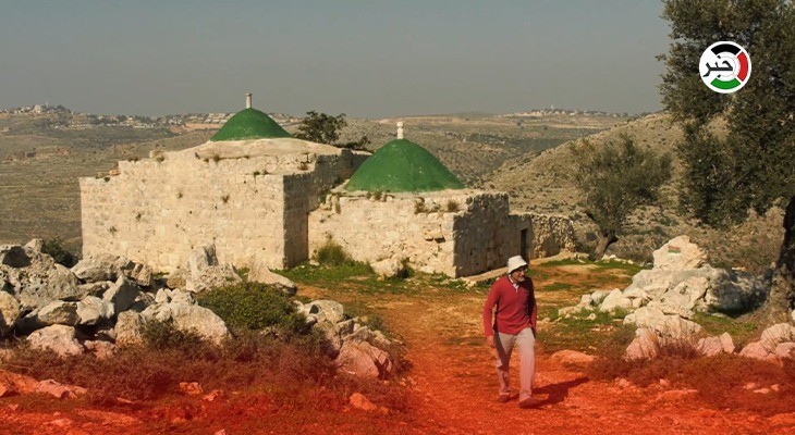 بالفيديو: "دير غسانة" غرب رام الله.. مئات الأشجار تقطع وتُباع حطباً وسط غياب رقابة حقيقية