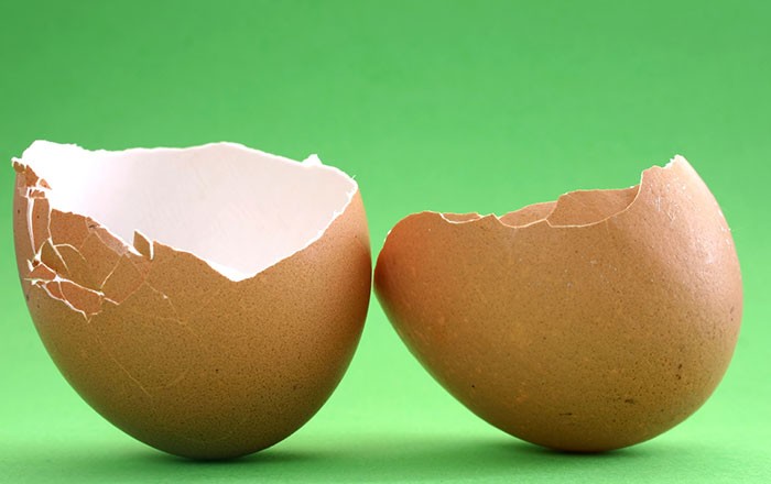 علاج العظام ممكن بقشور البيض