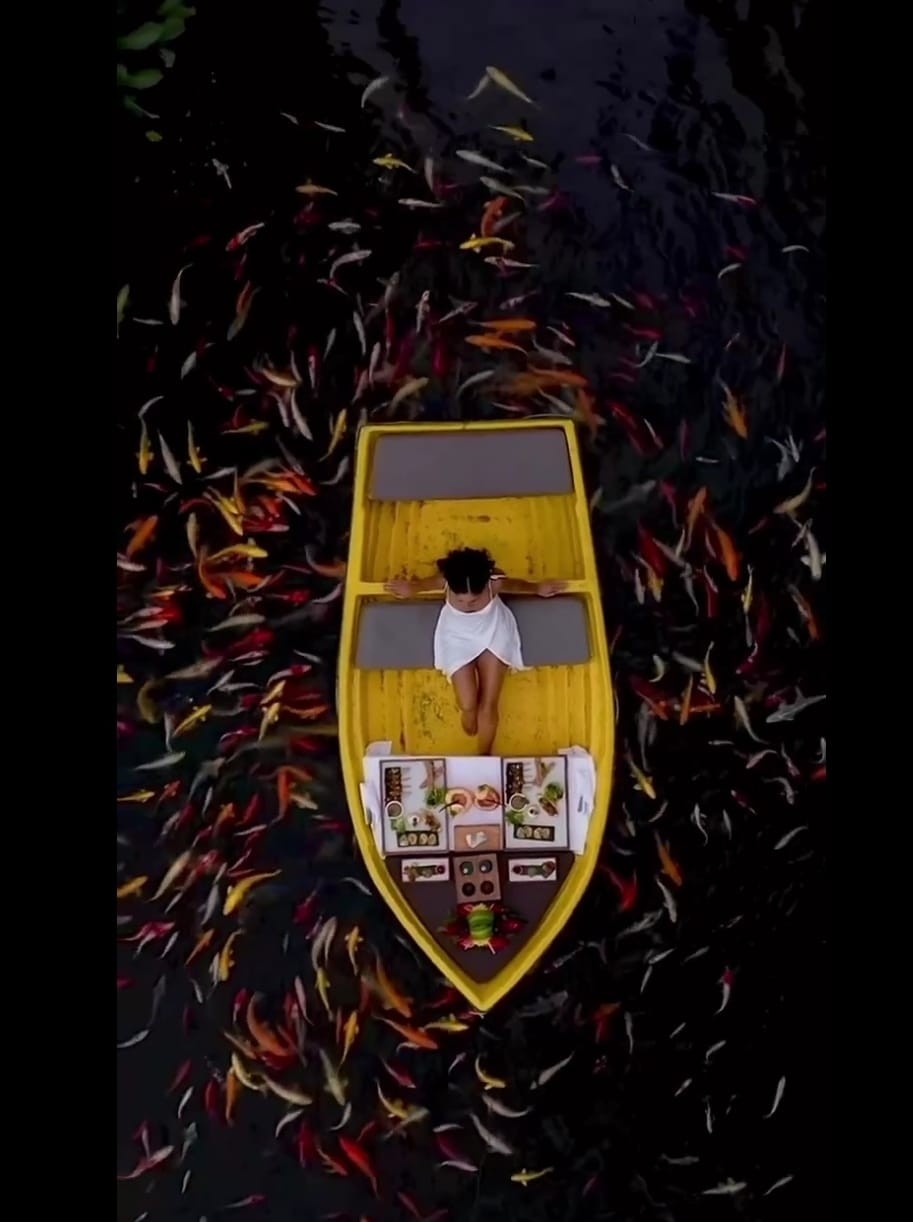 مشهد مذهل من الأعلى لألمانية تتناول الطعام وسط الأسماك الملونة