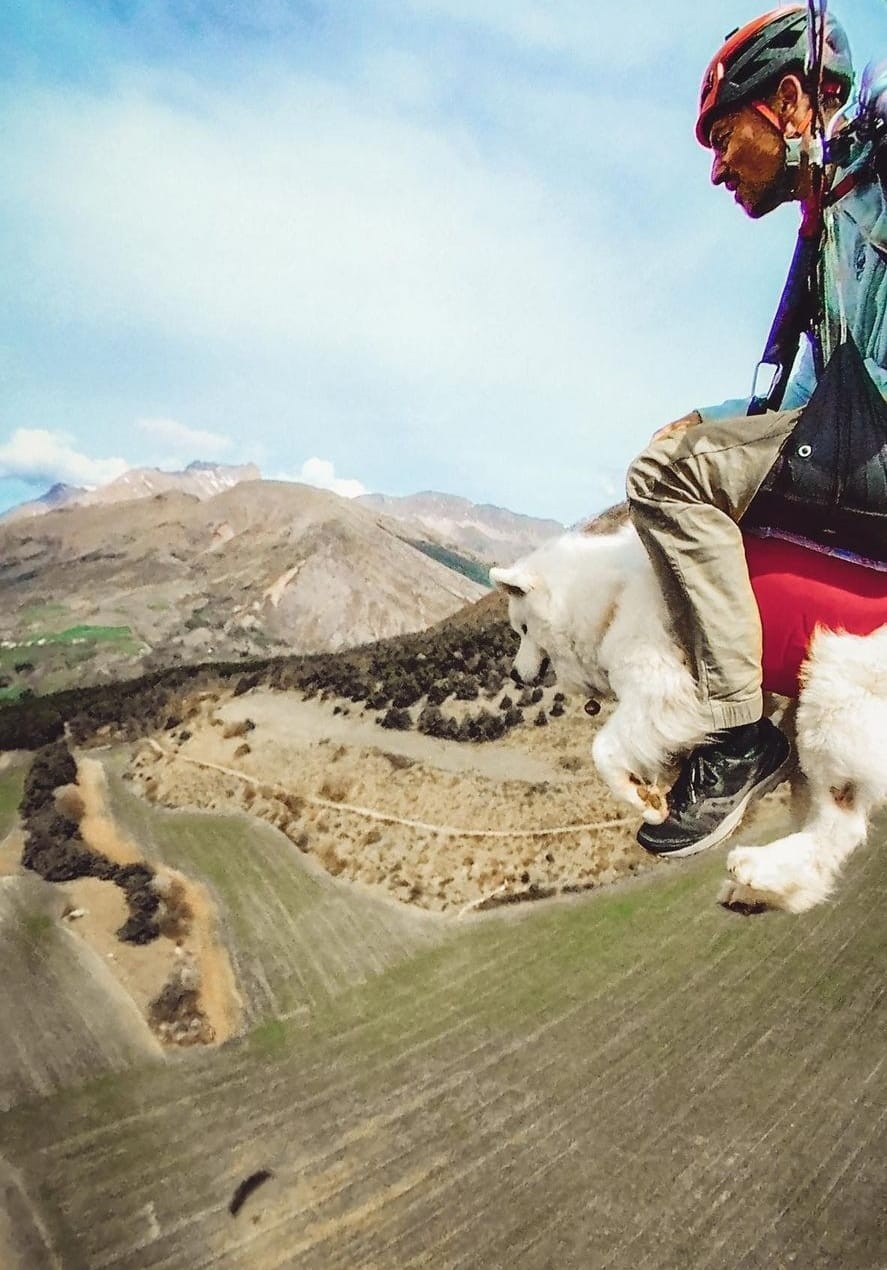 كلب صغير يحلق بطائرة شراعية برفقة مالكه فى مغامرات مذهلة