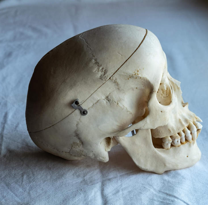 حكاية مؤلف بريطانى ثقب جمجمته 3 مرات ليصبح "منتشيا" دائما