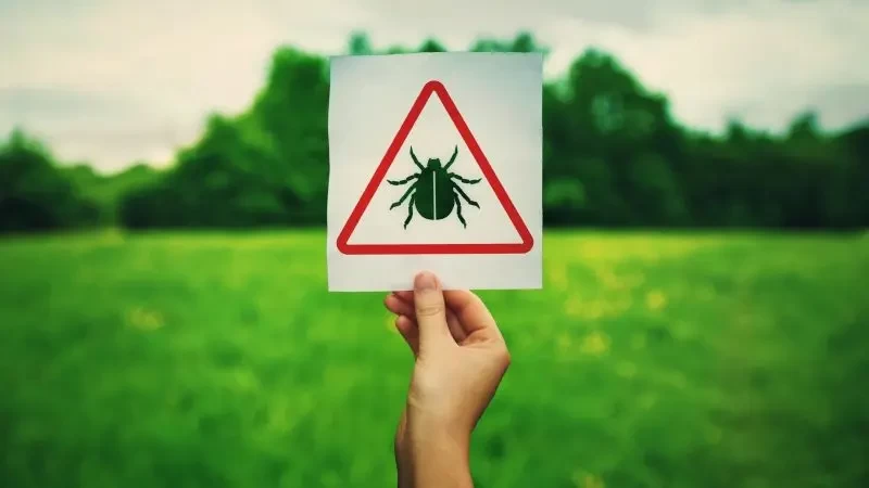 ما هو فيروس أوز القاتل؟