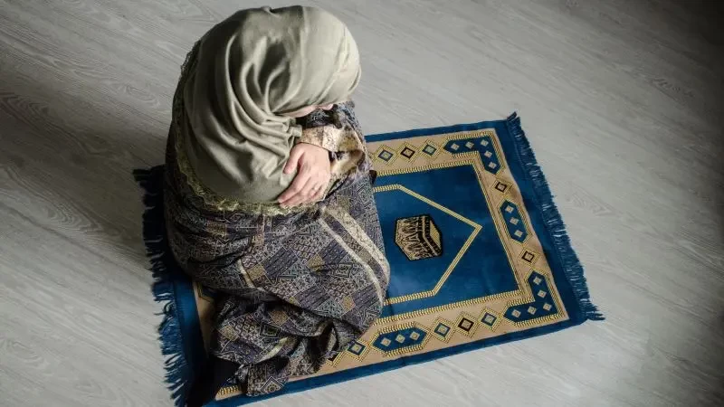 عبارات تهنئة بالنجاح في امتحان الشامل - مكتوب