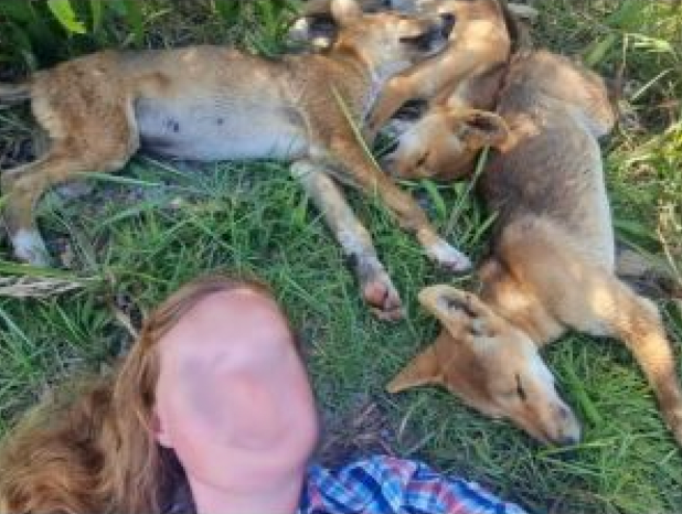 تغريم سيدتين 1500 دولار بسبب سيلفى مع حيوان خطير