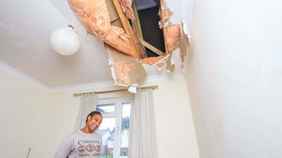 سقوط كتلة جليدية من طائرة يدمر سقف بيت سيدة بريطانية