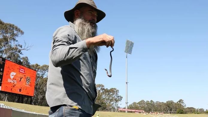 ثعبان سام يقتحم مباراة نسائية في الدورى الأسترالى ويعطلها 30 دقيقة