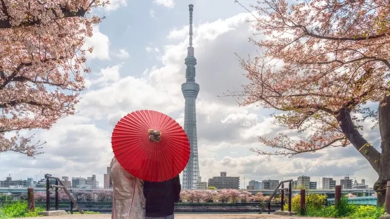 خطة رائعة لزيارة اليابان في ثلاثة أيام فقط