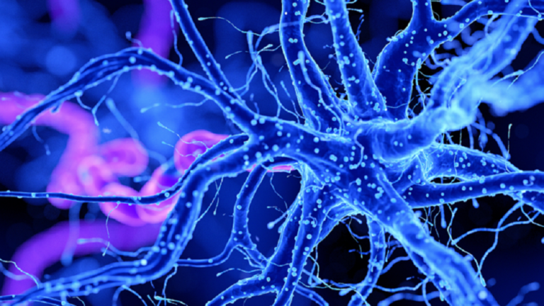 روسيا.. ابتكار مجهر يسمح برؤية الخلايا العصبية في الدماغ