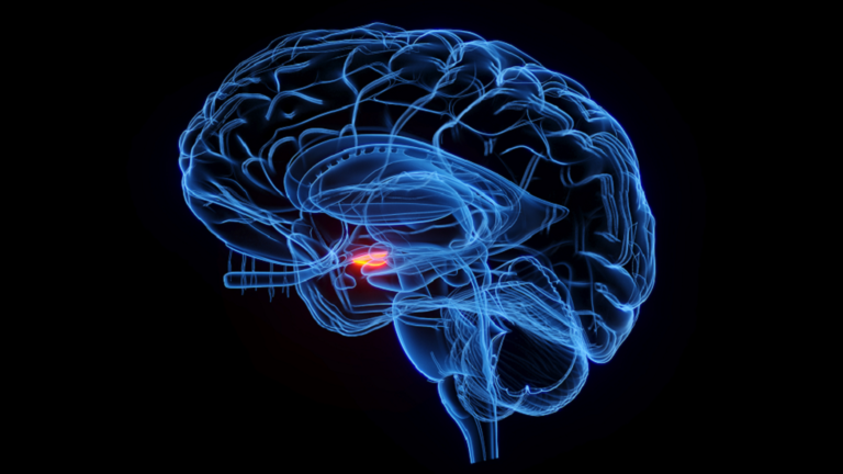 طريقة ذكية تكشف معدل البقاء حيا بعد الإصابة بـ"الشكل الأكثر فتكا من سرطان الدماغ"