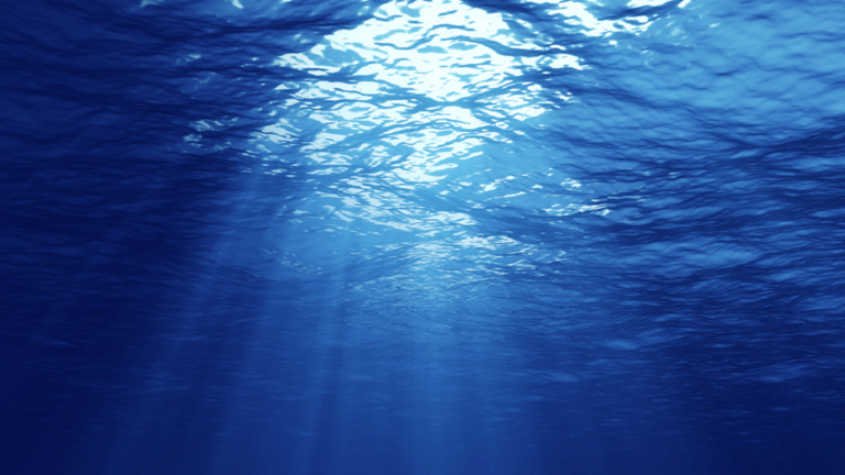 اكتشاف "بيض أسود غامض" في أعماق المحيط!