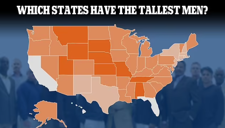 خريطة تكشف أسماء ولايات أمريكية يسكنها رجال طوال القامة وأخرى تضم القصار