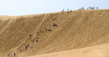 أمريكى أكل أصحابه الـ5 فى رحلة البحث عن الذهب بسبب الجوع