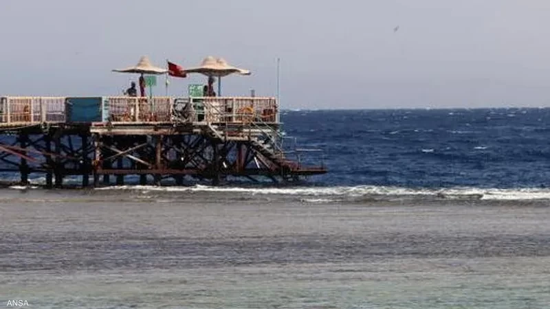 مصر.. مقتل سائح جراء هجوم لسمكة قرش في مرسى علم