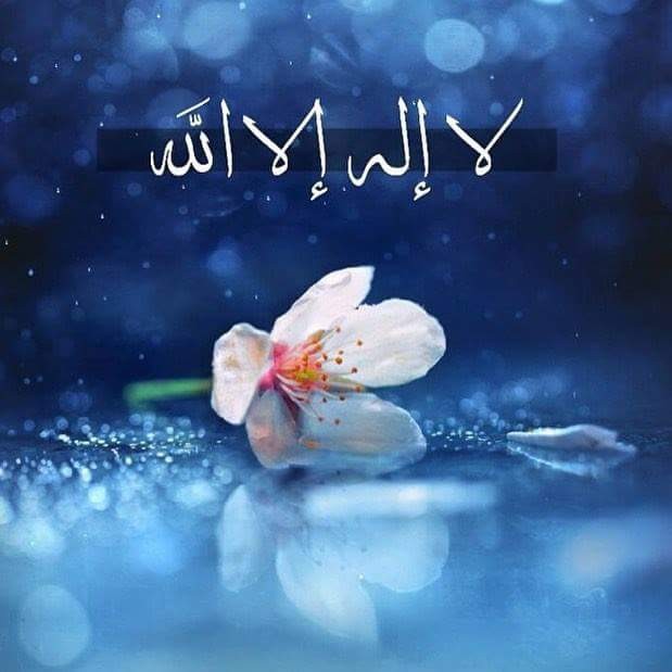 ماذا يحدث لجسدك عندما تقول لا اله الا الله؟!