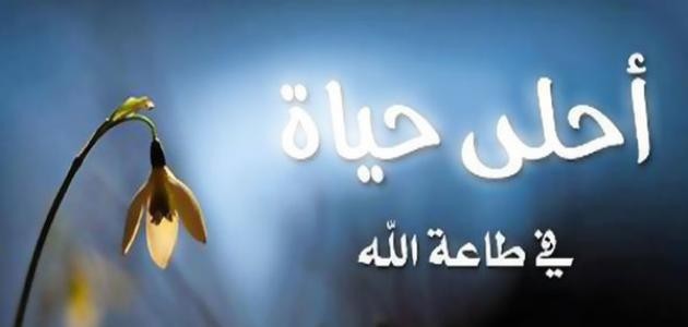 أنا لا ألتزم بالطاعة مئة في المئة وأبررّ ذلك ّّلنفسي ؟