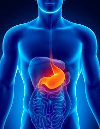 "البرد في المعدة" عبارة نسمعها ولا نفهم معناها.. ما حقيقة؟