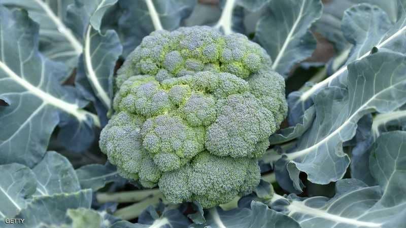 تعرفوا عليها: 10 أطعمة "سحرية" تبعد النوبات القلبية وتصلب الشرايين