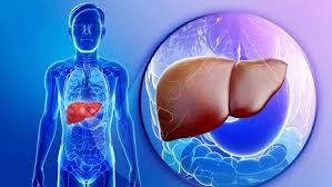 أمل جديد لمرضى تليف الكبد.. كشف قد يغني عن الزراعة