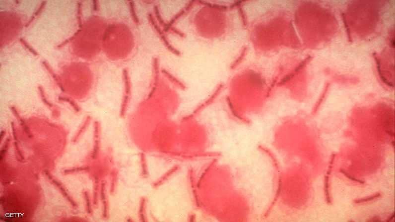 العلم يجيب.. كيف "تجوب" الفيروسات الأرض؟