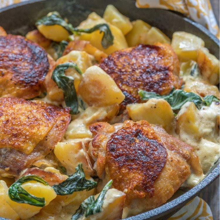 صينية بطاطس بالدجاج والكريمة