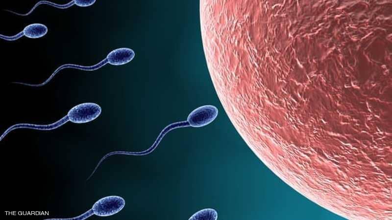 الحيوانات المنوية "مسؤولة" عن الإجهاض المتكرر