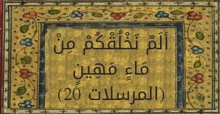 تفسير قوله تعالي {أَلَمْ نَخْلُقكُّم مِّن مَّاءٍ مَّهِينٍ}