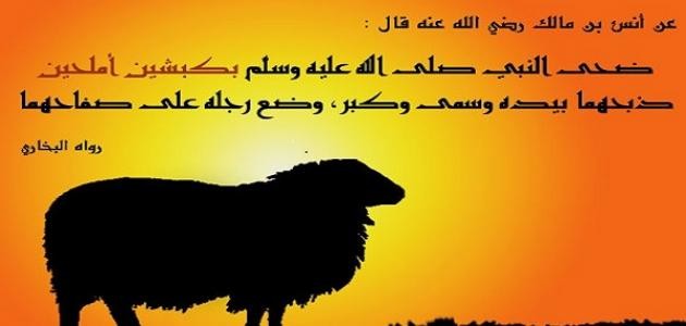 ما هي شروط الأضحية!