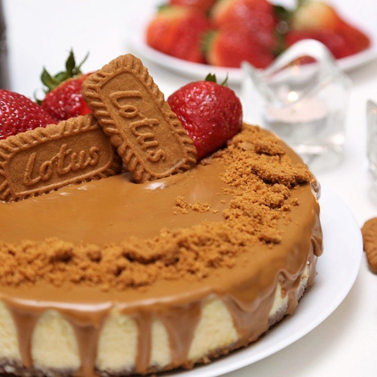 بالفيديو : تشيز كيك اللوتس 