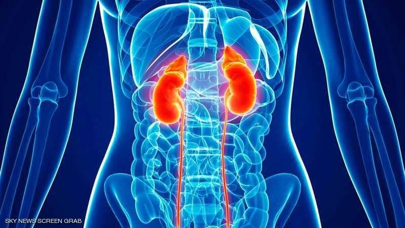 ماذا يحدث لجسمك عندما تحبس البول