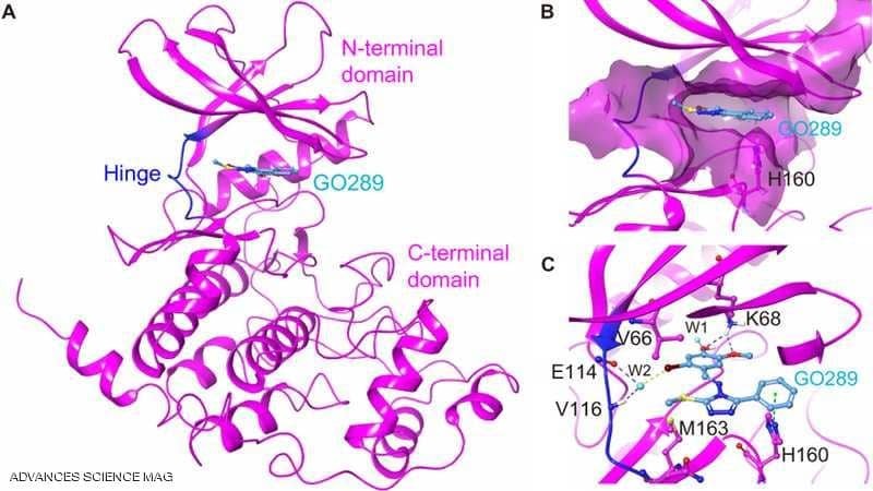عقار ثوري "للسرطان" يضرب "ساعته البيولوجية"
