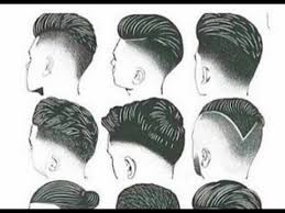 تحديد الشعر من جهة القفا والناصية وخلف الأذن ليس من القزع المنهي عنه