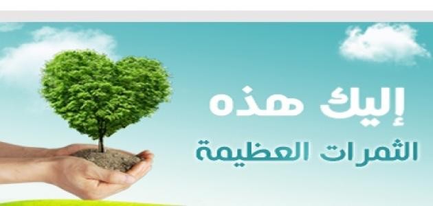 ثمرات الإيمان بالله في الحياة الدنيا