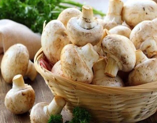 تعرفوا على فوائد الفطر السحرية