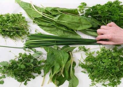 أكثر الأعشاب فائدة لجسم الإنسان!